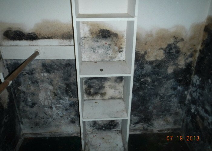 mold from water damaged drywal at arlington Office