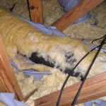 damaged duct located by mansfield texas home inspector